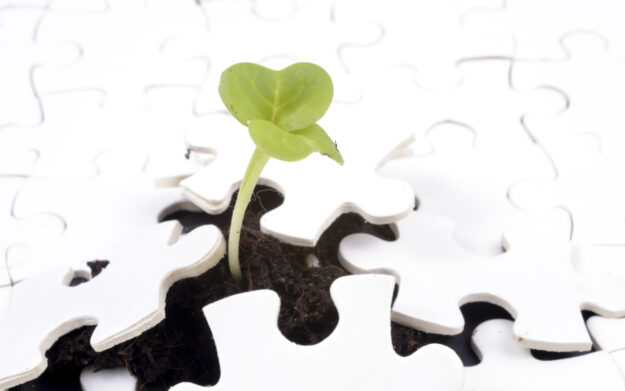 iStock_000011297854 midres