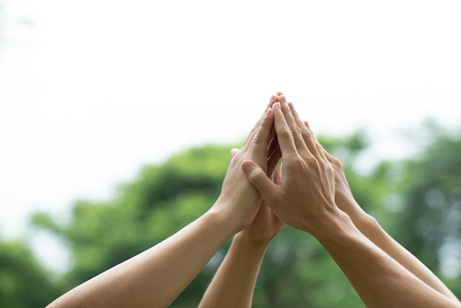 The-Meadows-&-Co-training-day-and-evening-celebrations