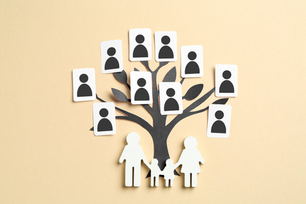 Second-marriage-blended-families-and-your-estate-Structuring-your-legacy-for-all-beneficiaries